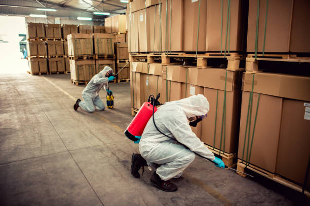 Best Best Pest Control Companies  in French Mp, CA