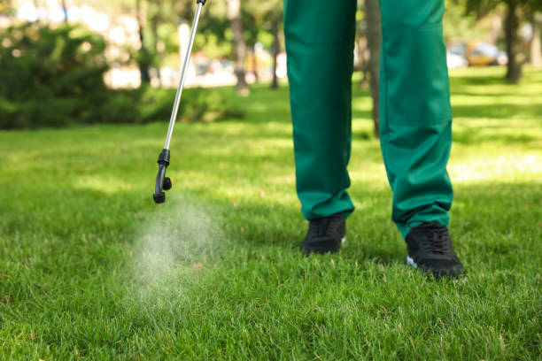 Best Pest Control Near Me  in French Mp, CA