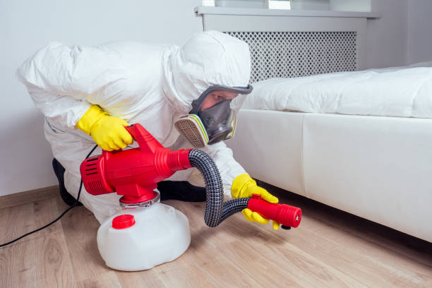 Best Affordable Pest Control Services  in French Mp, CA