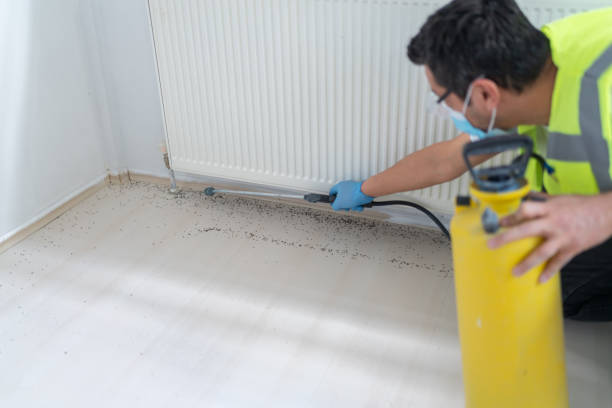 Best Rat Extermination Near Me  in French Mp, CA